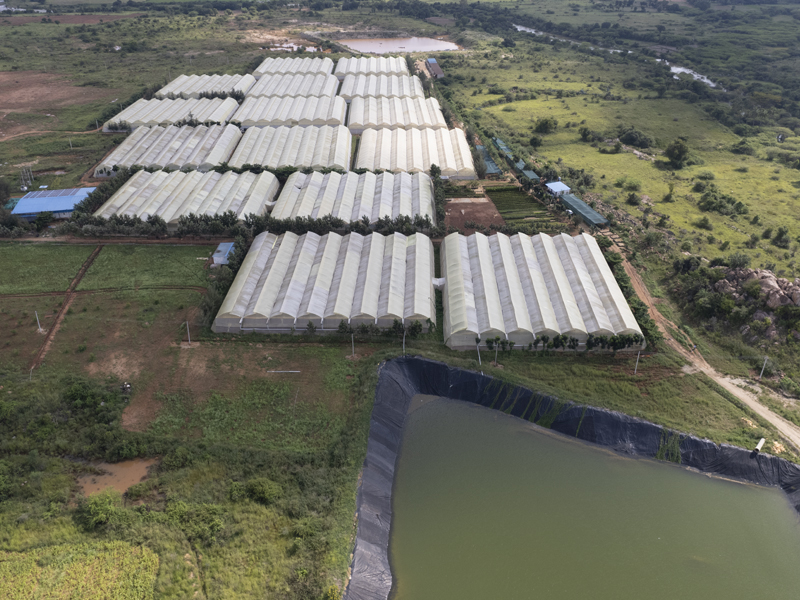 chithravathi organic village aerial view of polyhouses